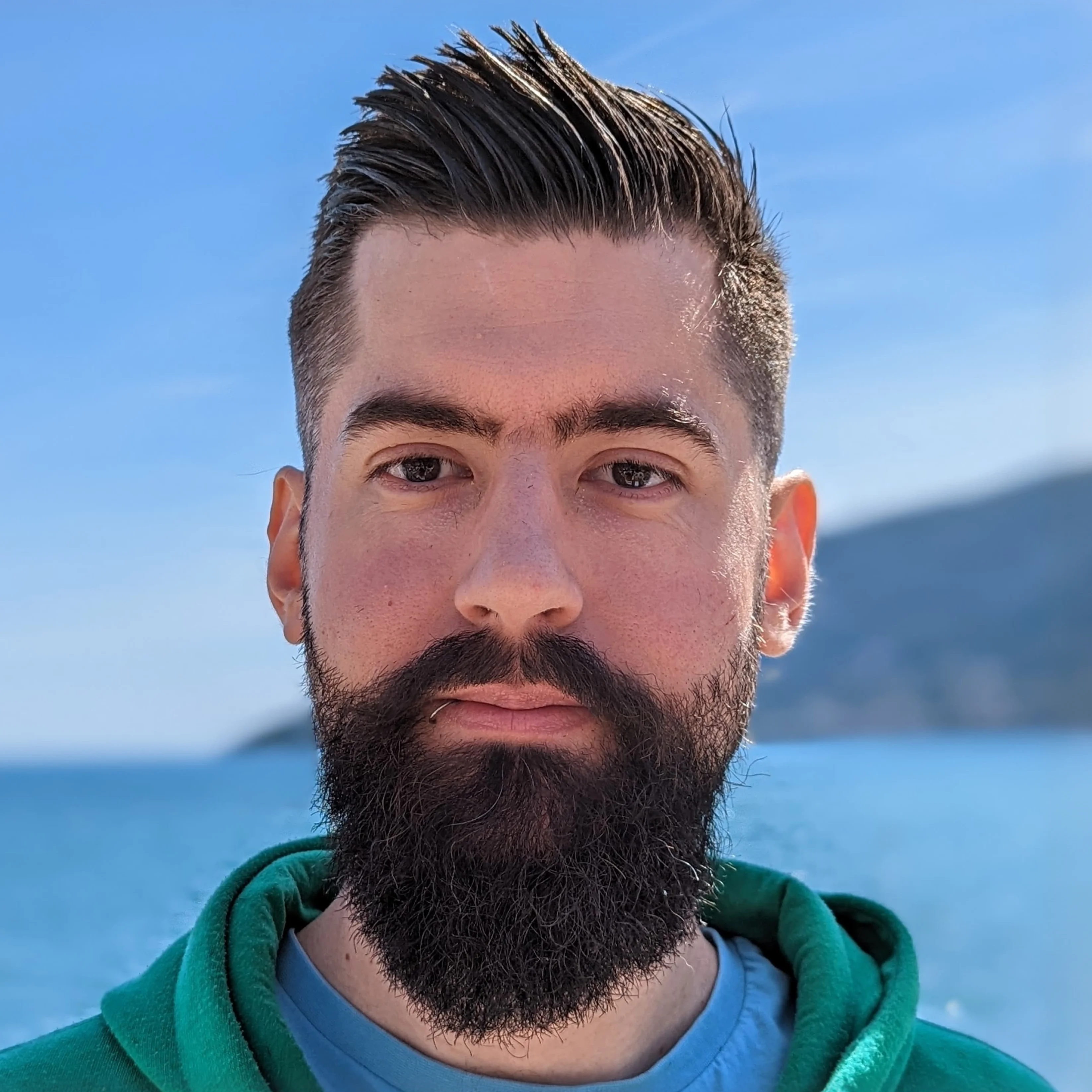 Daniel Demmel image